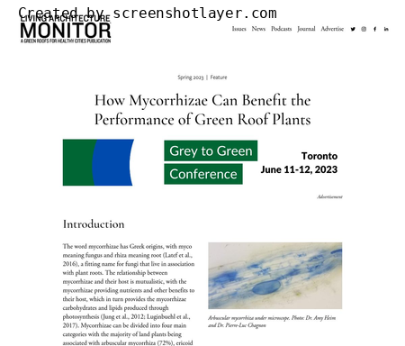 How Mycorrhizae Can Benefit the Performance of Green Roof Plants