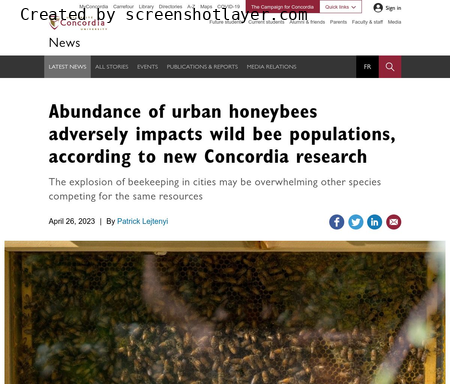Abundance of urban honeybees adversely impacts wild bee populations, according to new Concordia research