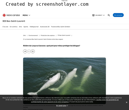 Rivière-du-Loup ou Cacouna : quel port pour mieux protéger les bélugas?