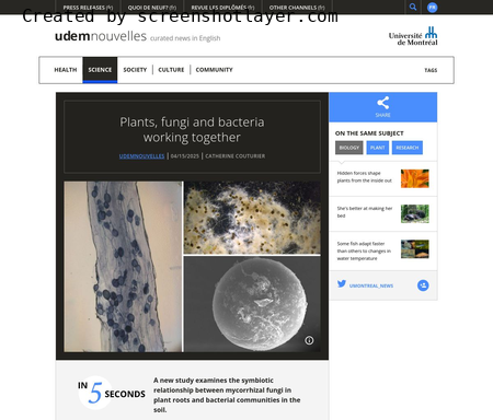 Plants, fungi and bacteria working together