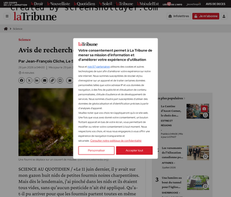 Avis de recherche: fourmis disparues